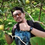 √ Kebun Apel Kusuma Agrowisata: Wisata Alam dan Petik Apel Langsung di Batu Review & Info Tiket