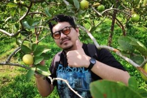 √ Kebun Apel Kusuma Agrowisata: Wisata Alam dan Petik Apel Langsung di Batu Review & Info Tiket