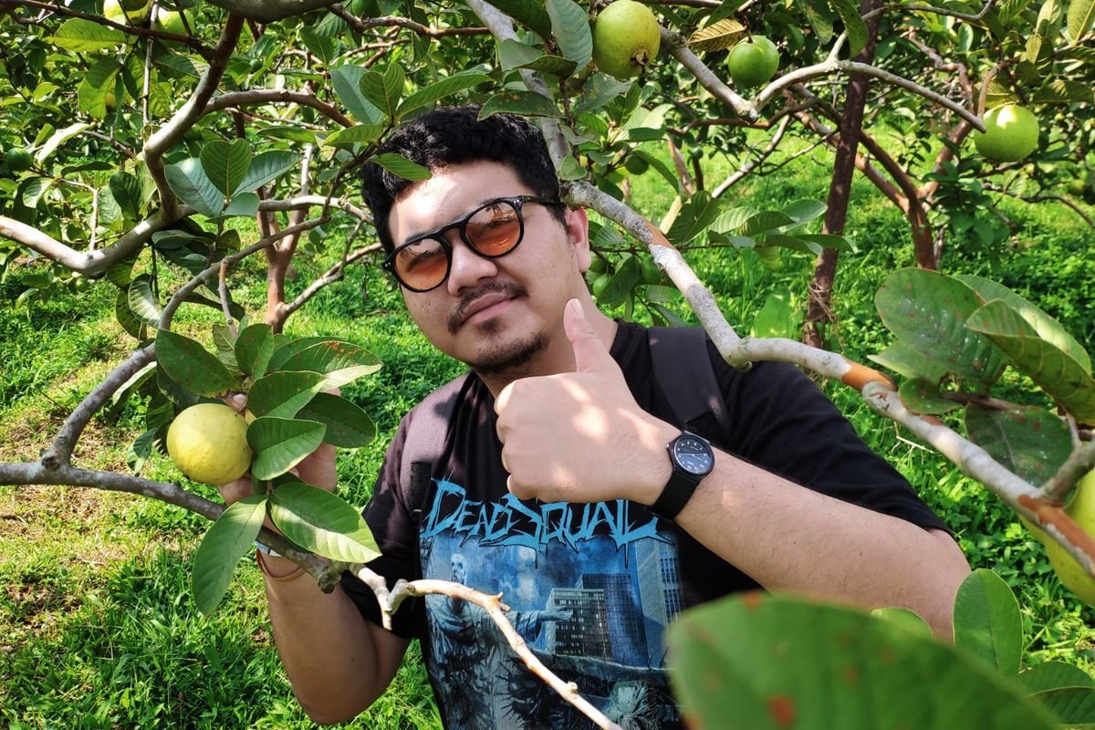 √ Kebun Apel Kusuma Agrowisata: Wisata Alam dan Petik Apel Langsung di Batu Review & Info Tiket