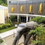 √ Museum Semedo: Menelusuri Jejak Purbakala di Tegal