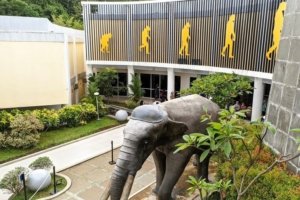 √ Museum Semedo: Menelusuri Jejak Purbakala di Tegal