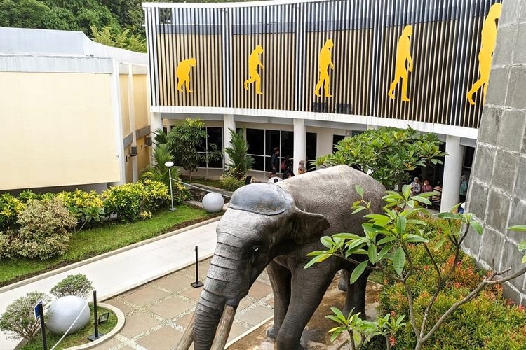 √ Museum Semedo: Menelusuri Jejak Purbakala di Tegal