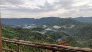 √ Bukit Panenjoan Subulussalam: Spot Terbaik Menyaksikan Keindahan Alam Aceh Selatan