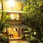 √ Kampung 99 Pepohonan – Limo: Wisata Alam dan Edukasi Ramah Keluarga di Depok