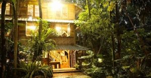 √ Kampung 99 Pepohonan – Limo: Wisata Alam dan Edukasi Ramah Keluarga di Depok