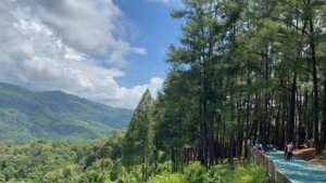 √ Hutan Sokokembang: Wisata Alam dan Primata di Pekalongan