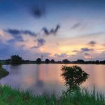 √ Situ Cibeureum Tambun: Wisata Alam dan Rekreasi Air di Bekasi