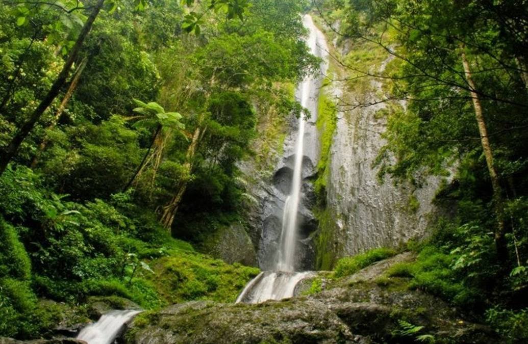 √ Air Terjun Dolo Kediri: Surga Tersembunyi di Tengah Pegunungan Jawa Timur Review & Info Tiket