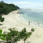 √ Pantai Mekar Muara Gembong: Pesona Alam Pesisir di Ujung Bekasi