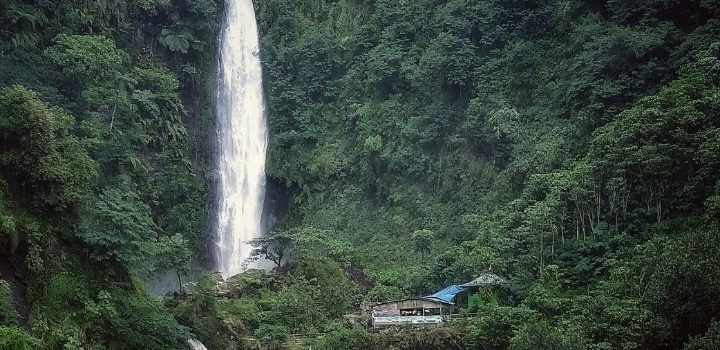 √ Curug Bajing – Petungkriyono: Air Terjun Indah di Tengah Hutan Pegunungan
