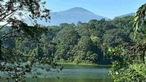 √ Situ Sangiang: Wisata Alam dan Danau Asri di Jawa Barat