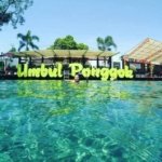 √ Umbul Ponggok Klaten: Sensasi Snorkeling di Air Tawar yang Jernih
