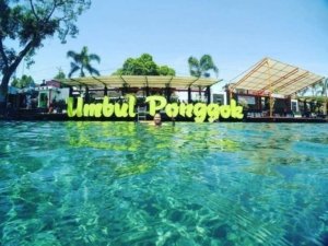 √ Umbul Ponggok Klaten: Sensasi Snorkeling di Air Tawar yang Jernih