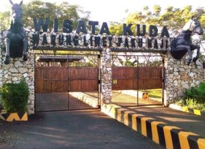 √ Wisata Berkuda Cimahi: Sensasi Menunggang Kuda di Alam Bandung