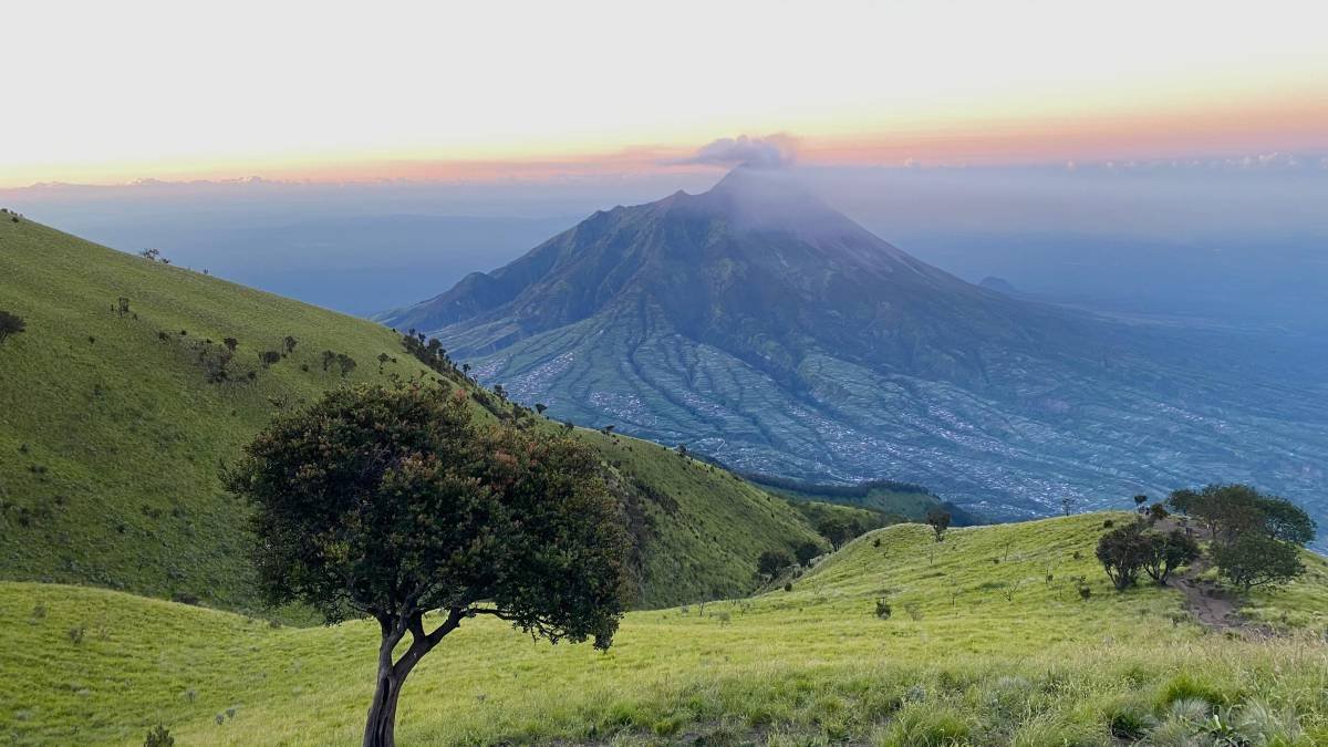 √ Gunung Merbabu: Pesona Alam dan Panduan Pendakian di Jawa Tengah Review & Harga Tiket