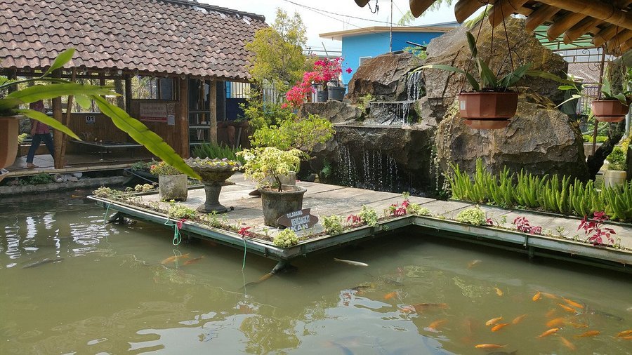 √ Pemancingan Sidomulyo Metro Selatan: Tempat Rekreasi Santai untuk Pecinta Mancing di Kota Metro