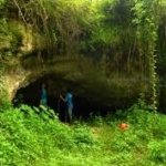 √ Taman Samber Park – Ruang Hijau Ikonik Kota Metro