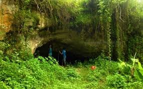 √ Taman Samber Park – Ruang Hijau Ikonik Kota Metro