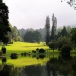 Kebun Raya Cibodas – Cianjur: Wisata Alam Sejuk di Kaki Gunung Gede