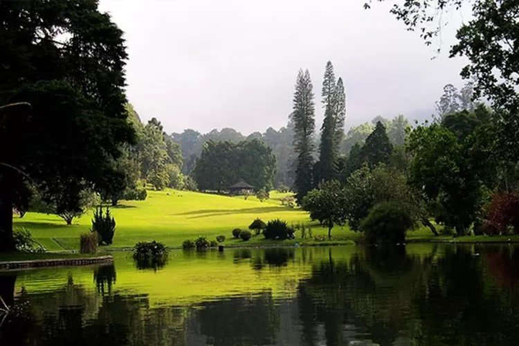 Kebun Raya Cibodas – Cianjur: Wisata Alam Sejuk di Kaki Gunung Gede