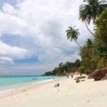 √ Pantai Kuala Langsa – Pesona Laut dan Mangrove di Ujung Timur Aceh