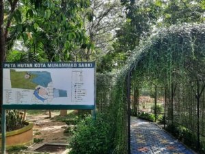 √ Hutan Kota Lhokseumawe: Ruang Hijau untuk Rekreasi dan Olahraga