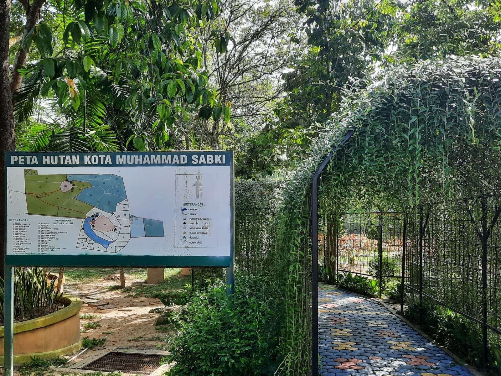 √ Hutan Kota Lhokseumawe: Ruang Hijau untuk Rekreasi dan Olahraga