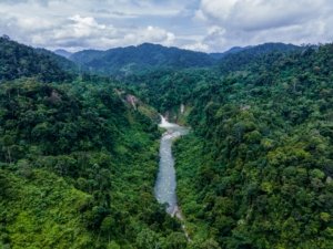 √ Wisata Alam Lae Mbersih: Pesona Sungai Jernih di Tengah Hutan Subulussalam