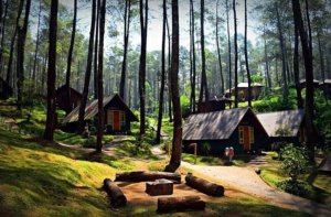 √ Taman Grafika Cikole – Cimahi: Wisata Alam dan Outbound di Pegunungan Lembang