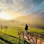 √ Bukit Panenjoan: Spot Sunrise dan Panorama Alam Banjar yang Memukau