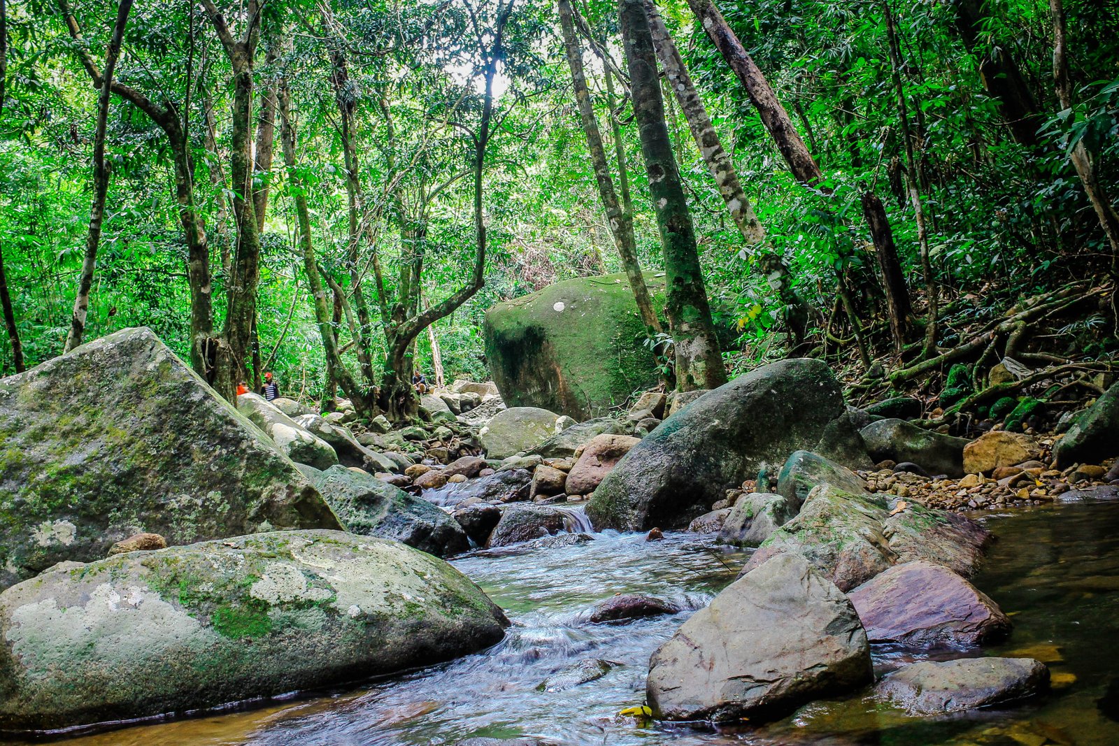 √ Air Terjun Eria Singkawang: Panduan Lengkap Wisata, Aktivitas, & Review Terbaru
