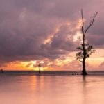 √ Pantai Serumpun: Eksotisme Pantai Tenang dengan Pemandangan Tropis yang Menyegarkan, Review & Info