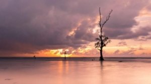 √ Pantai Serumpun: Eksotisme Pantai Tenang dengan Pemandangan Tropis yang Menyegarkan, Review & Info
