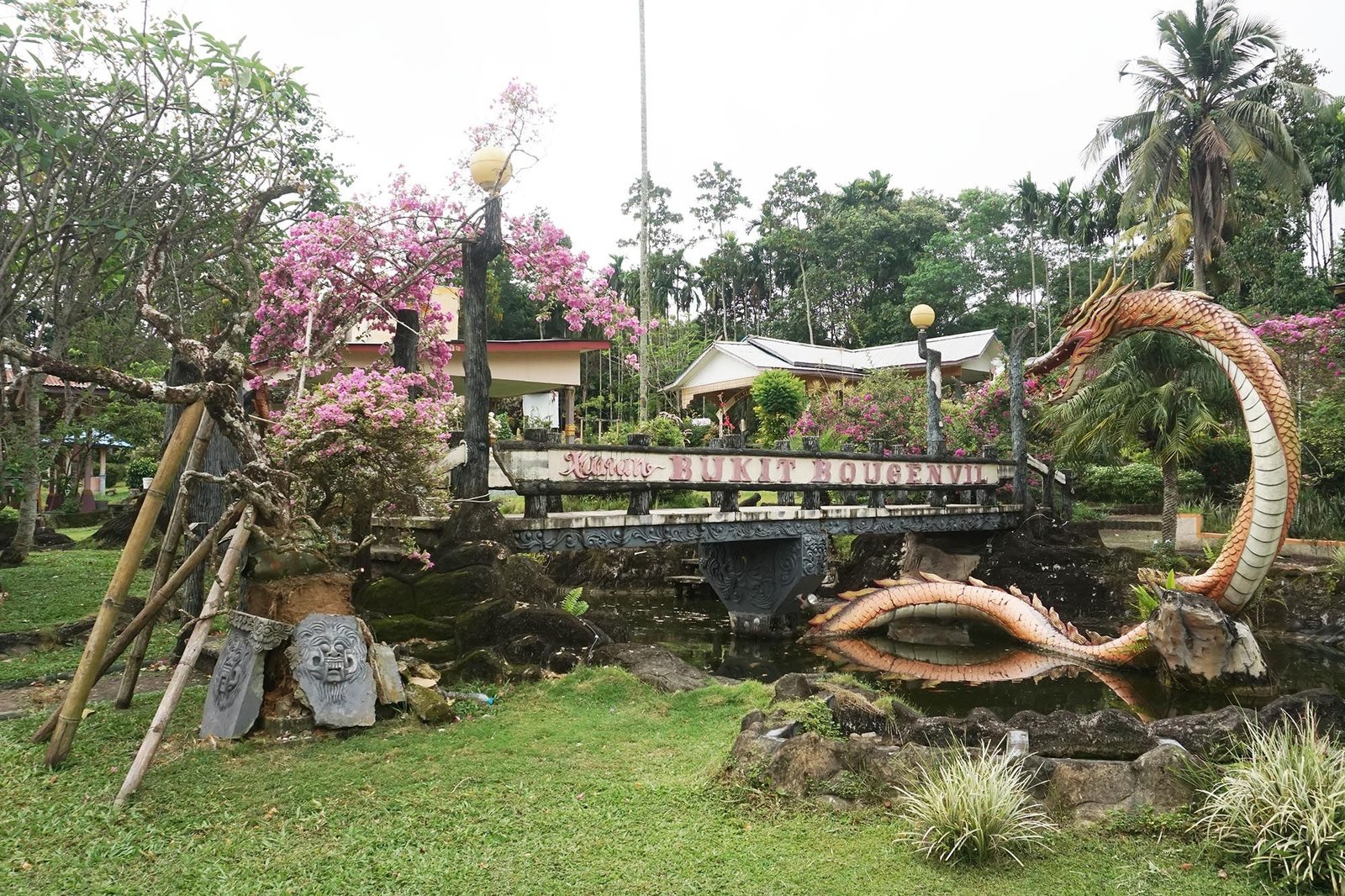 √ Bukit Bougenville Singkawang: Panduan Lengkap Wisata, Aktivitas, Review & Info Lengkap