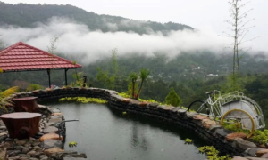 √ Bukit 513 Palopo: Panorama Alam & Spot Foto Hits, Review & Info Lengkap