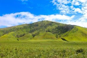 √ Bukit Teletubbies Bromo: Hamparan Perbukitan Hijau yang Menawan di Bromo, Jawa Timur Review & Info Tiket