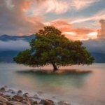 √ Pantai Talise Indah Pesona Pantai Ikonik Kota Palu, Info Tiket & Review Lengkap, Review & Info Lengkap