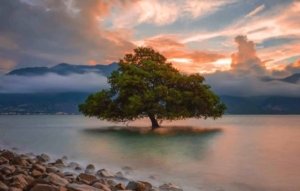 √ Pantai Talise Indah Pesona Pantai Ikonik Kota Palu, Info Tiket & Review Lengkap, Review & Info Lengkap