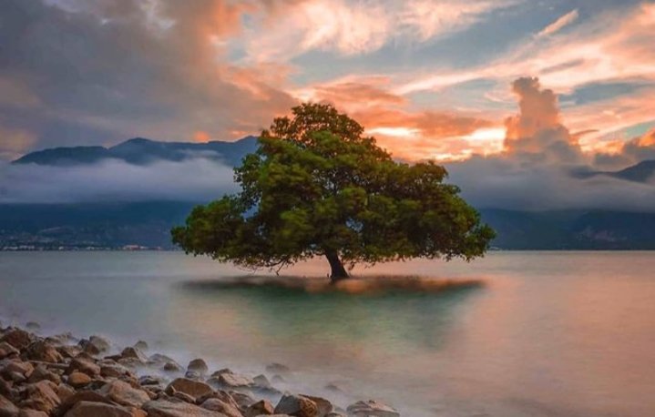 √ Pantai Talise Indah Pesona Pantai Ikonik Kota Palu, Info Tiket & Review Lengkap, Review & Info Lengkap