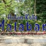√ Taman Hutan Kota Malabar: Oase Hijau di Tengah Kota Malang,Review & Info Tiket.