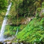 √ Air Terjun Krecekan Denu Kediri: Surga Tersembunyi di Tengah Hutan Tropis Review & Info Tiket