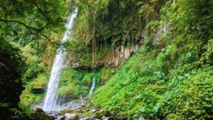 √ Air Terjun Krecekan Denu Kediri: Surga Tersembunyi di Tengah Hutan Tropis Review & Info Tiket