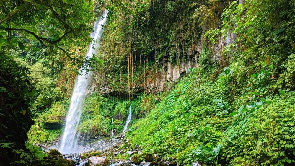 √ Air Terjun Krecekan Denu Kediri: Surga Tersembunyi di Tengah Hutan Tropis Review & Info Tiket