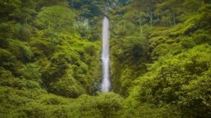√ Coban Rais: Keindahan Air Terjun dan Spot Foto Kekinian di Kota Batu,Review & Info Tiket.
