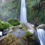 √ Coban Talun: Pesona Air Terjun dan Wisata Alam Hits,Review & Info Tiket.