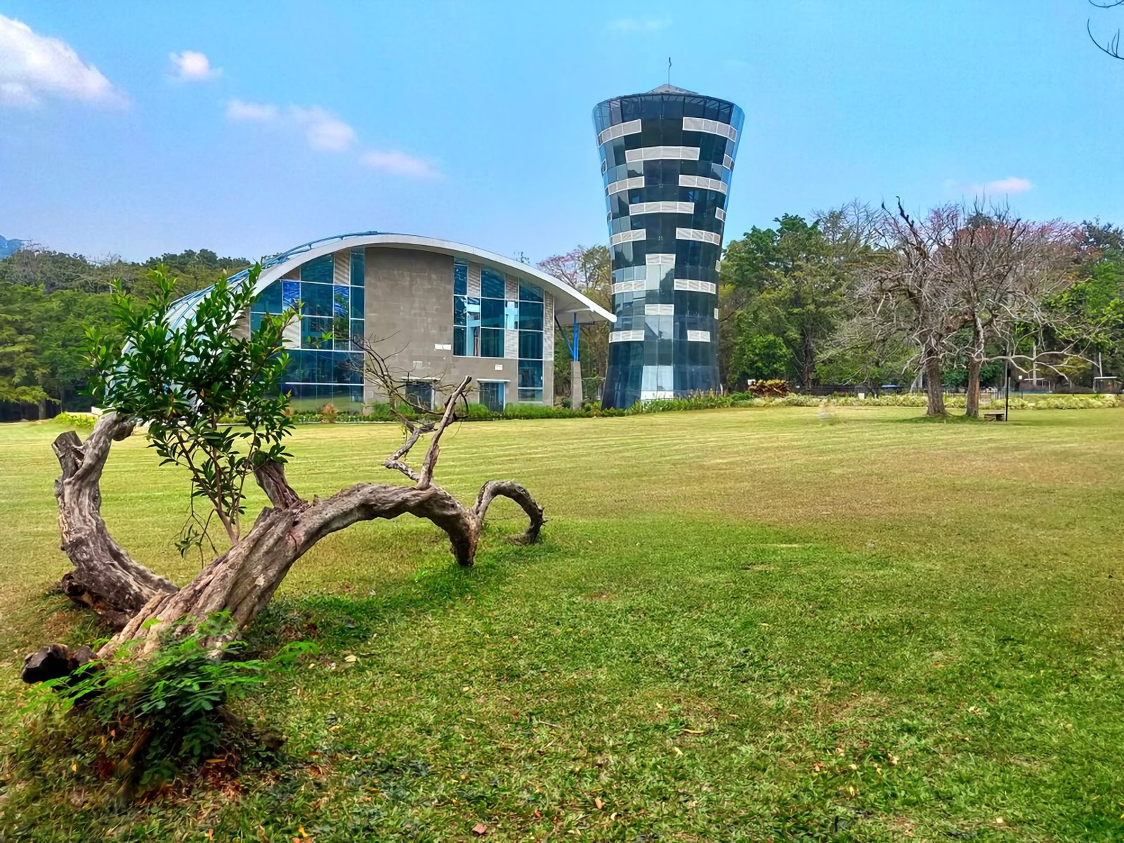 √ Kebun Raya Purwodadi: Surga Flora Tropis di Kabupaten Pasuruan, Jawa Timur Review & Info Tiket