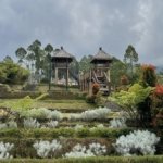 √ Taman Edelweis Tomohon: Surga Bunga di Pegunungan Sulawesi Utara,Review & Info
