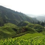 √ Agrowisata Wonosari Madiun: Menikmati Suasana Pedesaan dan Alam yang Asri Review & Info Tiket