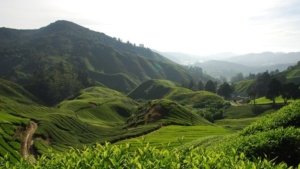 √ Agrowisata Wonosari Madiun: Menikmati Suasana Pedesaan dan Alam yang Asri Review & Info Tiket