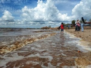 √ Pantai Koneng: Pantai Tenang dengan Nuansa Alami yang Menenangkan, Review & Info Lengkap